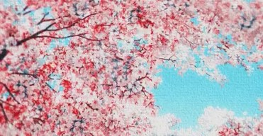 Shillong Cherry Blossom Festival gets permanent venue