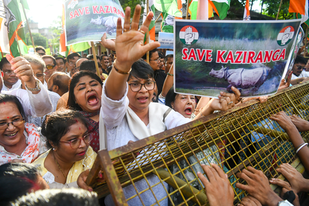 Congress has no right to speak on Kaziranga: Assam CM