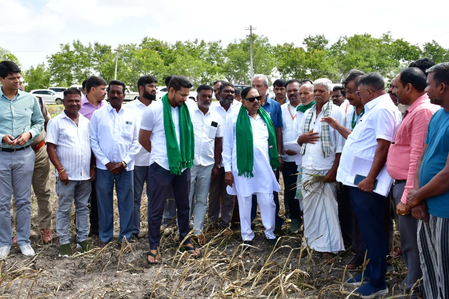 Drought hits Nanjangud: Karnataka Dy CM inspects damaged crops, farmers seek relief