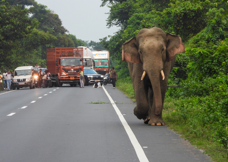 India’s roads sector in execution-intensive phase in FY27, states key driver: Report