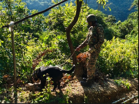 Army averts IED threat in Manipur; recovers 10-kg explosive device