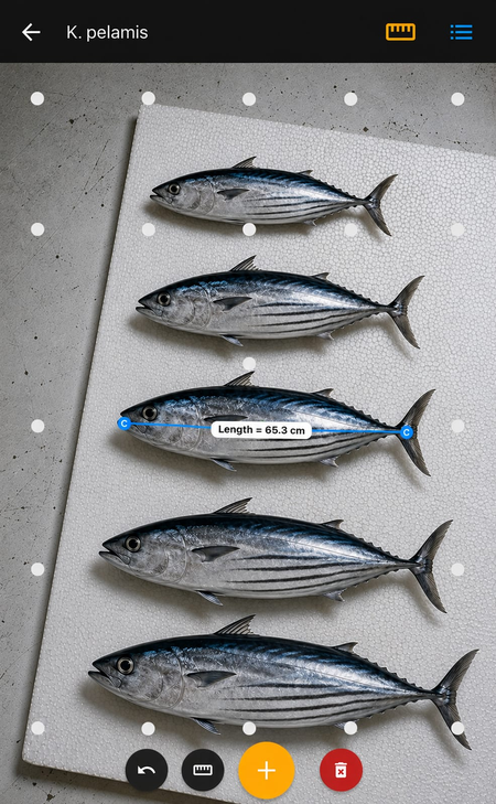 New CMFRI app measures fish without touching them