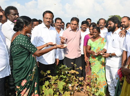 Telangana: Crops drying up despite availability of water in Palamuru, claims KTR