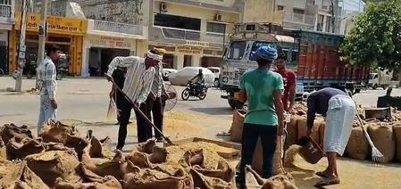 ‘Feel respected’: Farmers after Centre approves increase in MSP for Rabi crops (Lead)