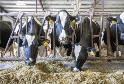Private dairies urge Tamil Nadu government to review Aavin subsidies