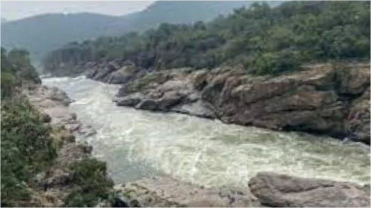Mekedatu project: Karnataka steps up land process, officials told to fast-track work