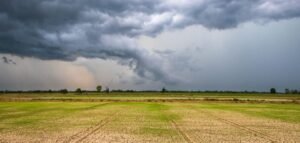 No suitable clouds for cloud seeding yet, Karnataka experts advise govt to wai