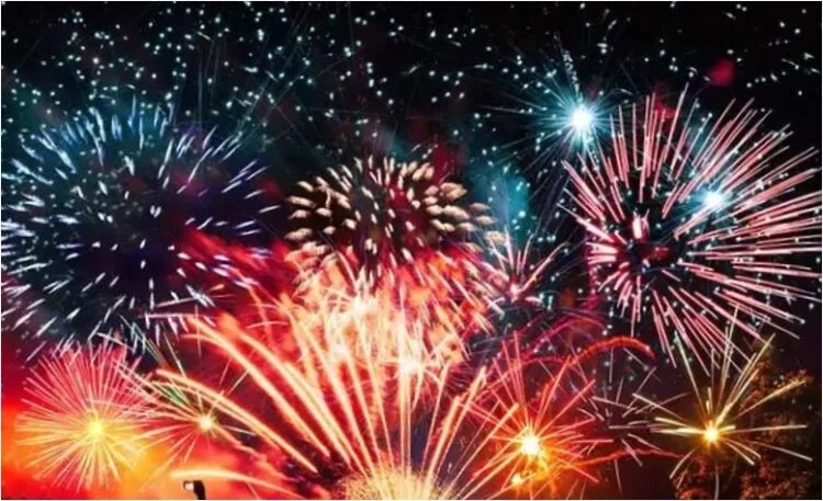 DRI seizes 10,000 kg firecrackers worth ₹3 crore at Nhava Sheva port