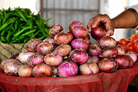 Onion prices dip as fresh crop flows into markets