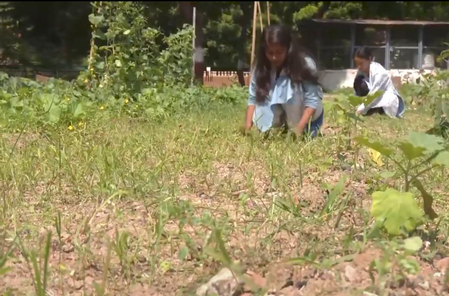 Gujarat Vidyapith trains students in natural farming, teaches preparation of bio-inputs
