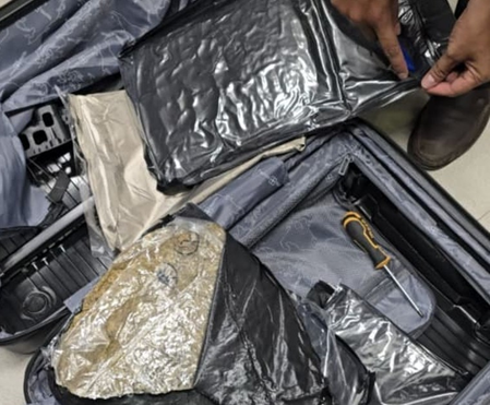 Hydroponic weed valued at Rs 44.27 lakh concealed in trolley bag seized at Pune airport; passenger arrested