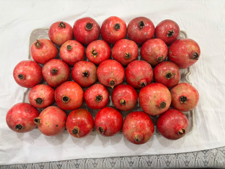 India’s Sinduri pomegranate exports hit Dubai market