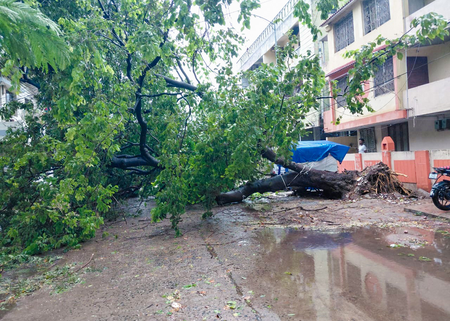 Andhra CM briefs Amit Shah on ‘extensive damage’ caused by cyclone