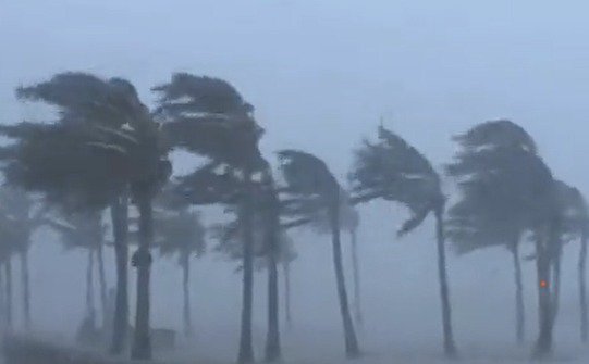 Cyclone Arnab: Andhra CM Reviews Situation, 33,000 Coconut Trees Uprooted in Konaseema