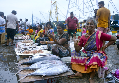 India targets 30 million tonnes of annual fish production in five years: Fisheries Secretary